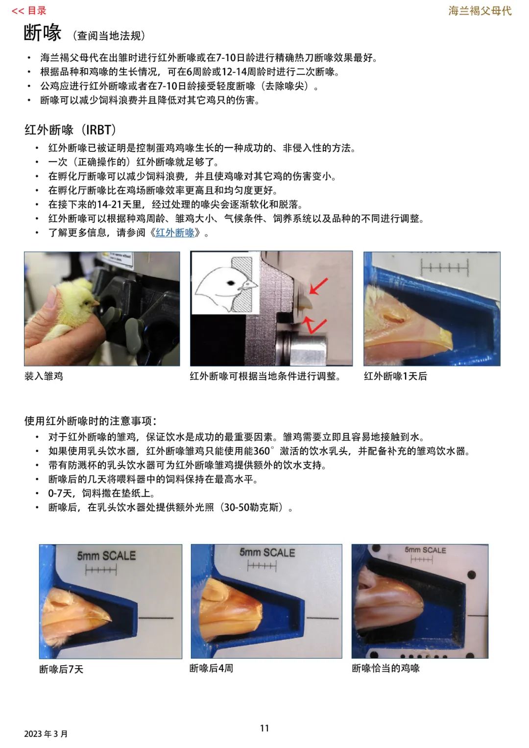 qw12.jpg
