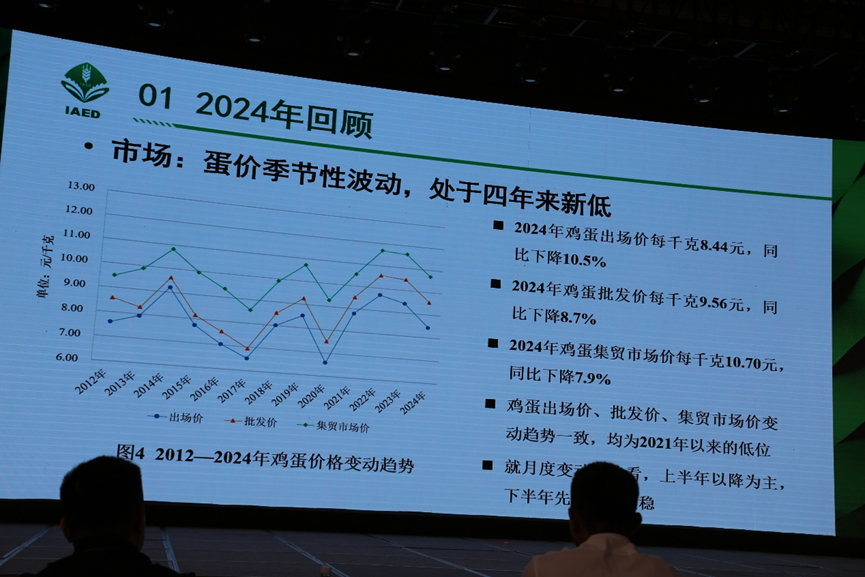qw9.jpg