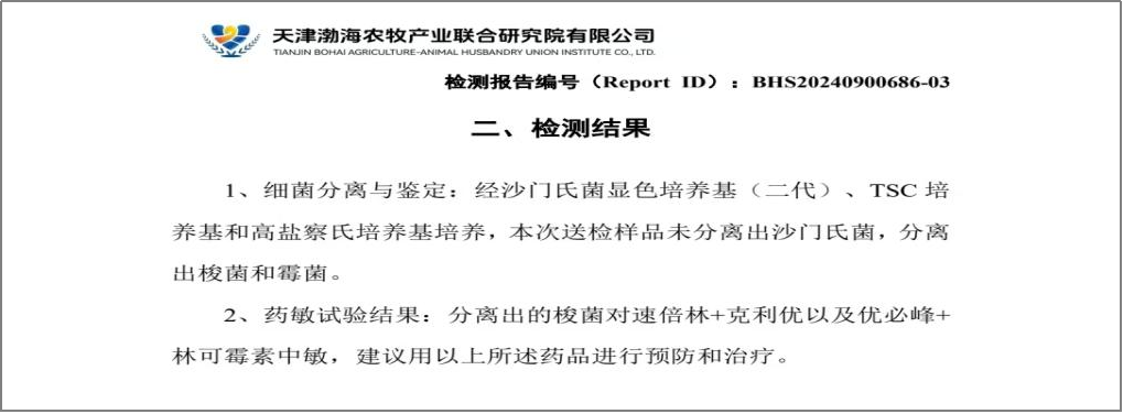 qw15.jpg