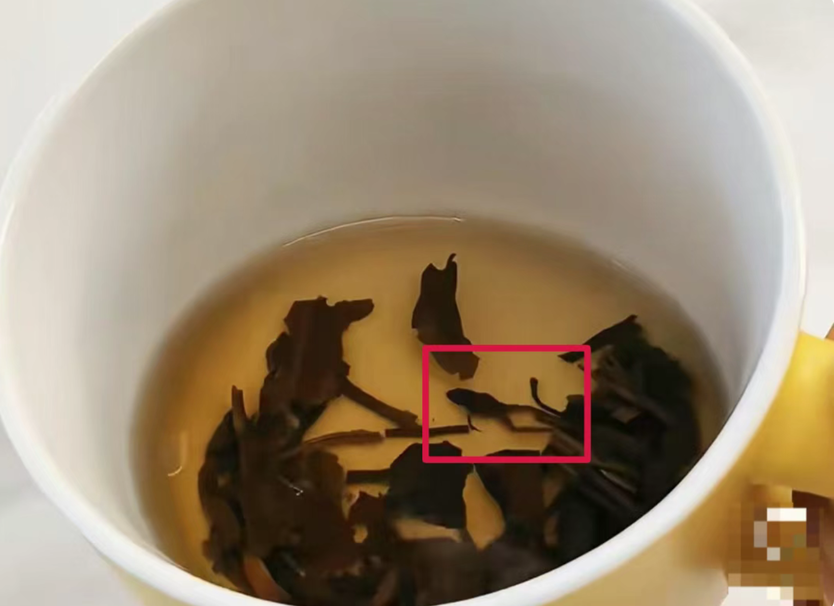 12.png